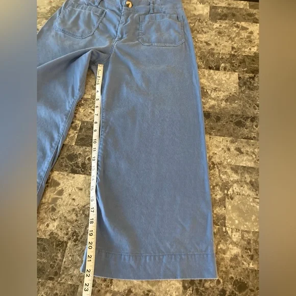 Anthropologie Maeve Blue Sea The Colette Crop Wide Leg Pant High Rise WMSZ 31 P - Picture 14 of 15